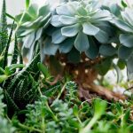 The Impact of Bitcoin ETF Approval on Market Dynamics