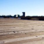 Bitcoin Price Forecast: Anticipating Peaks and Declines