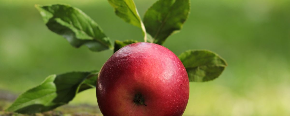 Apple Surpasses NVIDIA: A New Era of Market Leadership