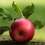 Apple Surpasses NVIDIA: A New Era of Market Leadership