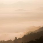 Sunday Insights: Understanding Market Movements and Investor Sentiment in Crypto