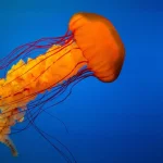 Cryptocurrency Market Sees Resistance in Latest Rally