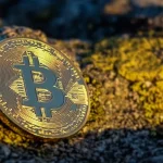 BitMEX Announces Permanent Closure: Implications for the Cryptocurrency Market