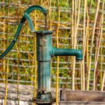 Market Dynamics Behind the Recent Pump in Cryptocurrency