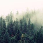 Understanding the Current Trends in the Solana (SOL) Market