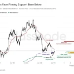 Key On-Chain Levels for Bitcoin: A Comprehensive Analysis