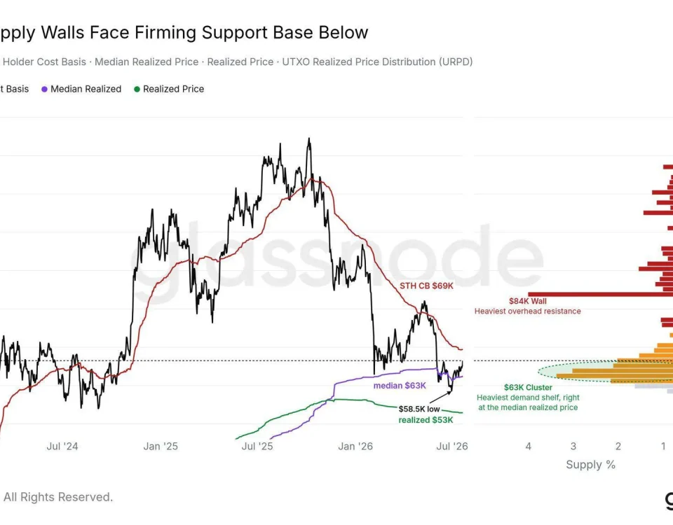 Key On-Chain Levels for Bitcoin: A Comprehensive Analysis