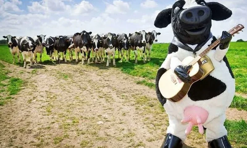 Tokenizing Cows: Brazil Turns Livestock into Digital Assets